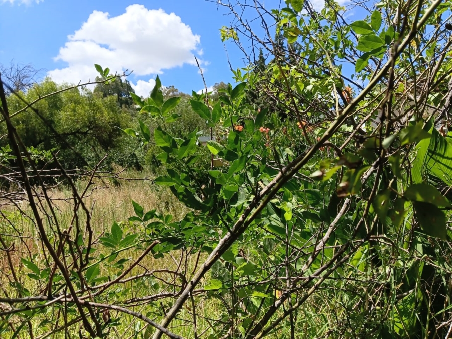 0 Bedroom Property for Sale in Senekal Free State